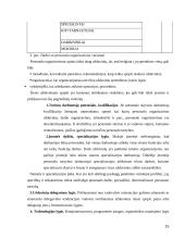 Personalo struktūros formavimas  15 puslapis