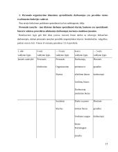 Personalo struktūros formavimas  17 puslapis