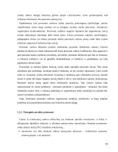 Personalo struktūros formavimas  19 puslapis