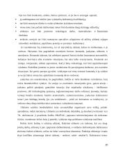 Personalo struktūros formavimas  20 puslapis