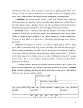 Personalo struktūros formavimas  5 puslapis