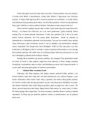 Estetikos seminarų ataskaita 4 puslapis
