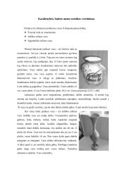 Estetikos seminarų ataskaita 8 puslapis