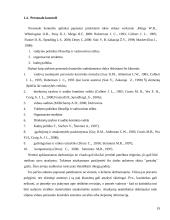 Organizacijos personalo valdymo politikos įvertinimas 19 puslapis