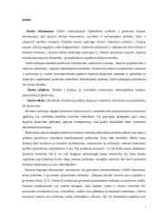 Profesijos rinkimosi veiksniai ir jų įtaka karjeros lūkesčiams 2 puslapis