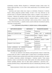 Profesijos rinkimosi veiksniai ir jų įtaka karjeros lūkesčiams 11 puslapis