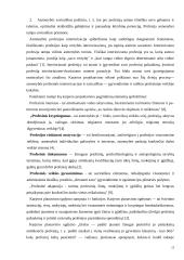 Profesijos rinkimosi veiksniai ir jų įtaka karjeros lūkesčiams 13 puslapis