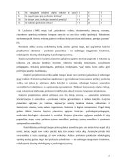 Profesijos rinkimosi veiksniai ir jų įtaka karjeros lūkesčiams 17 puslapis