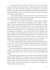 Profesijos rinkimosi veiksniai ir jų įtaka karjeros lūkesčiams 19 puslapis