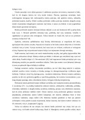 Profesijos rinkimosi veiksniai ir jų įtaka karjeros lūkesčiams 7 puslapis