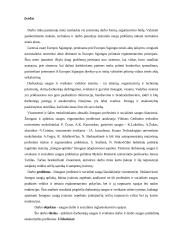 Atsakomybės už darbuotojų saugos ir sveikatos normų pažeidimą  2 puslapis