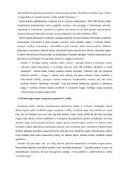 Atsakomybės už darbuotojų saugos ir sveikatos normų pažeidimą  11 puslapis