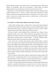 Atsakomybės už darbuotojų saugos ir sveikatos normų pažeidimą  13 puslapis