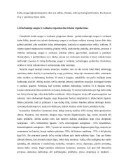 Atsakomybės už darbuotojų saugos ir sveikatos normų pažeidimą  17 puslapis