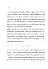 Atsakomybės už darbuotojų saugos ir sveikatos normų pažeidimą  9 puslapis