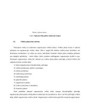 Darbų planavimas   12 puslapis