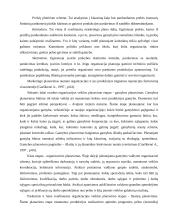 Darbų planavimas   14 puslapis