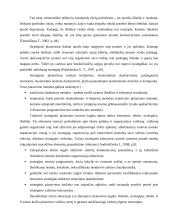 Darbų planavimas   18 puslapis