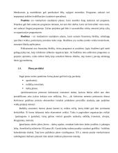 Darbų planavimas   7 puslapis
