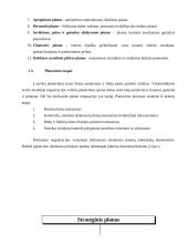 Darbų planavimas   9 puslapis