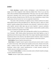 Tarptautinės logistikos išlaidų pasiskirstymas  2 puslapis