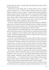 Tarptautinės logistikos išlaidų pasiskirstymas  15 puslapis