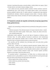 Tarptautinės logistikos išlaidų pasiskirstymas  17 puslapis