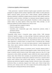 Tarptautinės logistikos išlaidų pasiskirstymas  5 puslapis