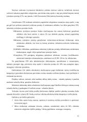 UAB “Termoizola“ praktika 12 puslapis