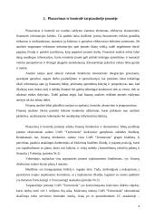 UAB “Termoizola“ praktika 4 puslapis