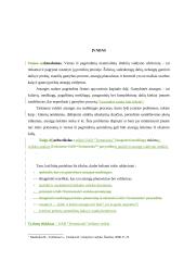 UAB “Termoizola” efektyvaus medžiagų tiekimo didinimas iš užsienio 2 puslapis