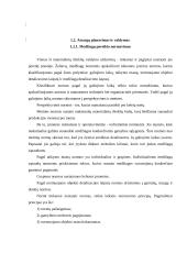 UAB “Termoizola” efektyvaus medžiagų tiekimo didinimas iš užsienio 5 puslapis