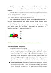 UAB “Termoizola” efektyvaus medžiagų tiekimo didinimas iš užsienio 6 puslapis