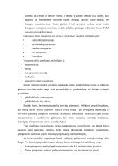 UAB “Termoizola” efektyvaus medžiagų tiekimo didinimas iš užsienio 7 puslapis