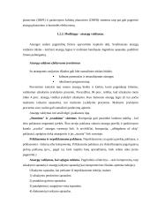 UAB “Termoizola” efektyvaus medžiagų tiekimo didinimas iš užsienio 9 puslapis