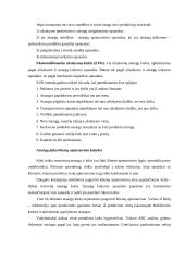 UAB “Termoizola” efektyvaus medžiagų tiekimo didinimas iš užsienio 10 puslapis