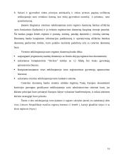 Nekilnojamojo turto administravimas Lietuvoje 15 puslapis