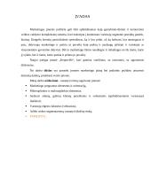 Marketingo analizė: vaflių gamyba UAB "Keptuvėlė" 3 puslapis