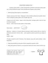 Marketingo analizė: vaflių gamyba UAB "Keptuvėlė" 10 puslapis