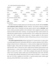 Smulkaus ir vidutinio verslo vystimasis 7 puslapis