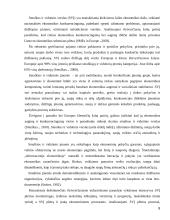 Smulkaus ir vidutinio verslo vystimasis 8 puslapis