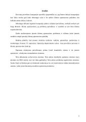 Transporto įmonės vieklos analizė ir tobulinimas  2 puslapis