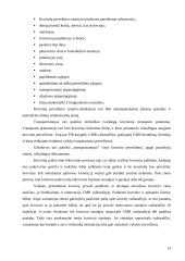 Transporto įmonės vieklos analizė ir tobulinimas  13 puslapis