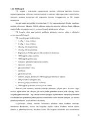 Transporto įmonės vieklos analizė ir tobulinimas  16 puslapis