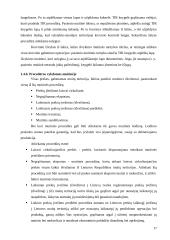 Transporto įmonės vieklos analizė ir tobulinimas  17 puslapis