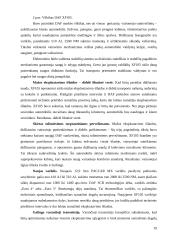 Transporto įmonės vieklos analizė ir tobulinimas  19 puslapis