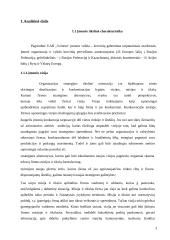 Transporto įmonės vieklos analizė ir tobulinimas  3 puslapis