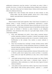 Transporto įmonės vieklos analizė ir tobulinimas  4 puslapis