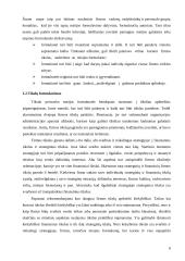 Transporto įmonės vieklos analizė ir tobulinimas  6 puslapis