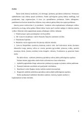 AB "Lietuvos draudimas" vadovo darbo privalumai ir trūkumai 2 puslapis
